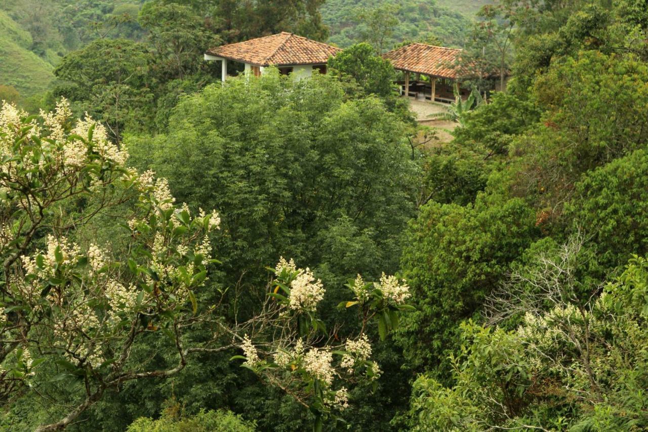 Eco Hotel El Columpio Саленто Экстерьер фото